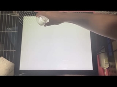 Écran tactile PCAP de 19 pouces avec fonctions imperméables à l' eau et à la vandalisme